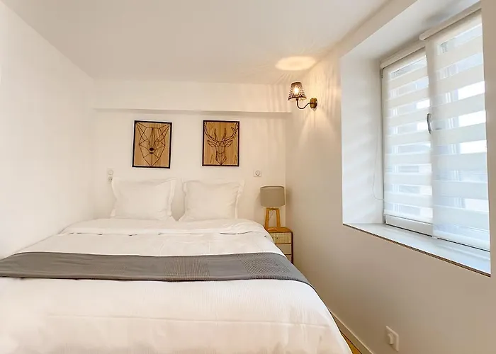 The Downtown Cosy Apartment