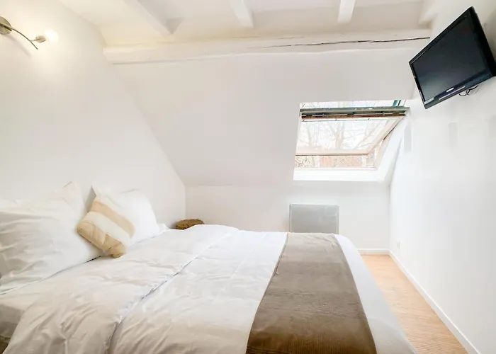 The Downtown Cosy Apartment